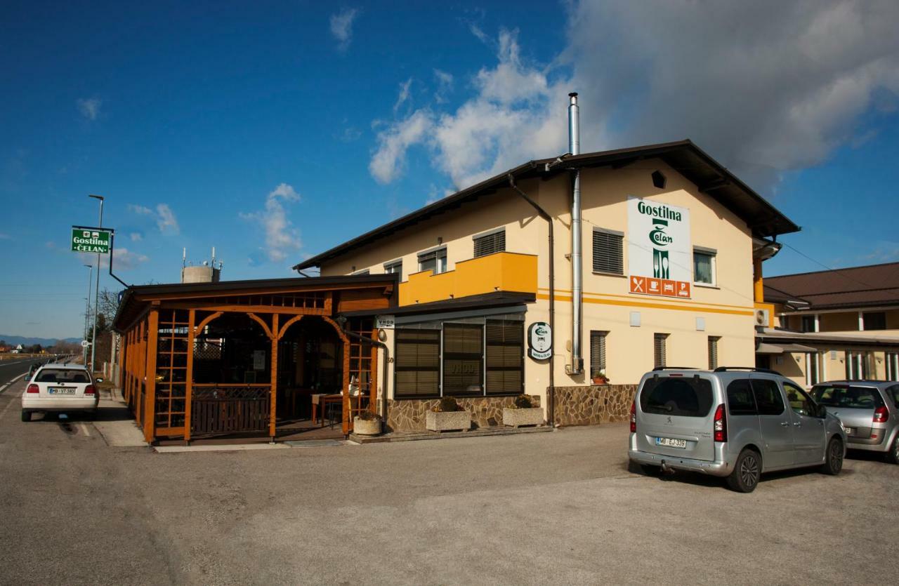 Guest House Celan Spodnja Hajdina Exterior foto